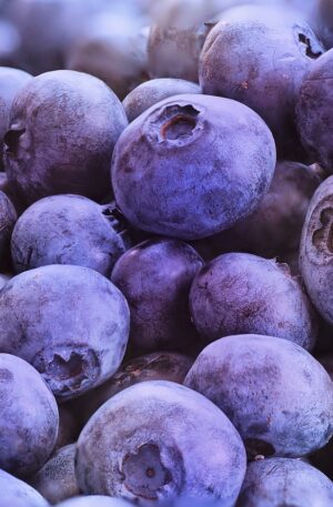 blueberries, macro, fruit