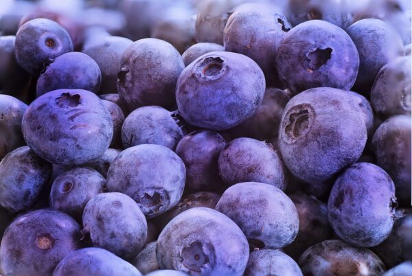 blueberries, macro, fruit