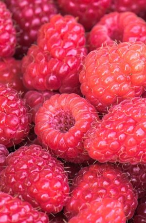 raspberries, fruits, food