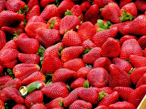 strawberries, fruit, food